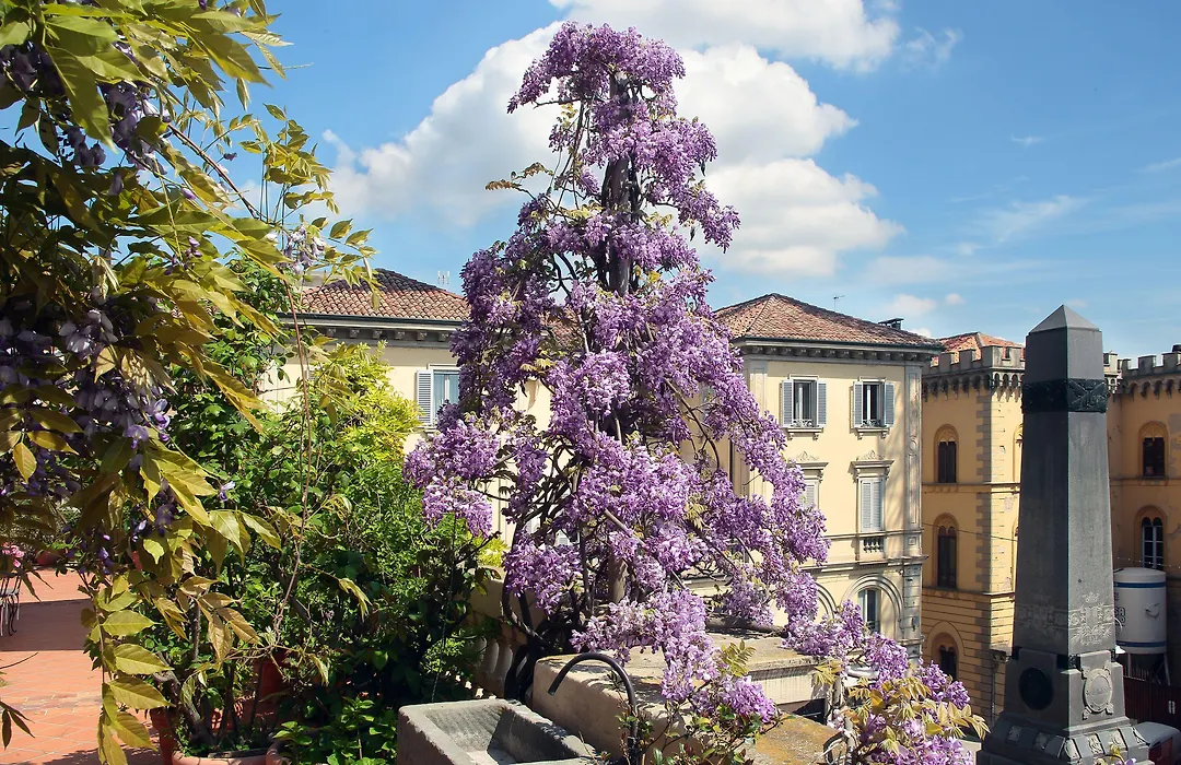 Arnaboldi Palace-1